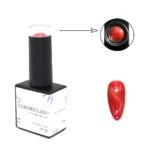 Hema-Free Tpo-Free Cat Eye Gel Polish CE08 10ml CHROMÉCLAIR